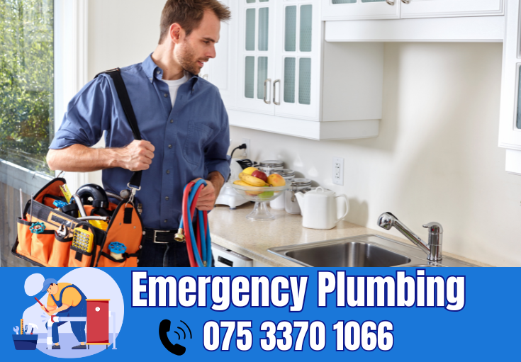  plumber Kings Farm