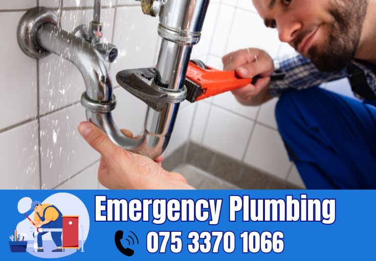  plumber Rosherville